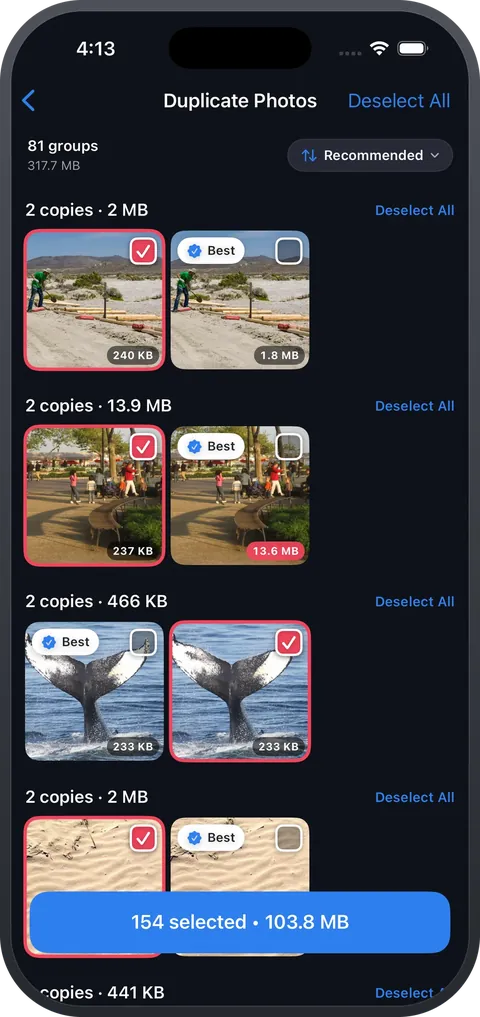 CleanSpace — Duplicates